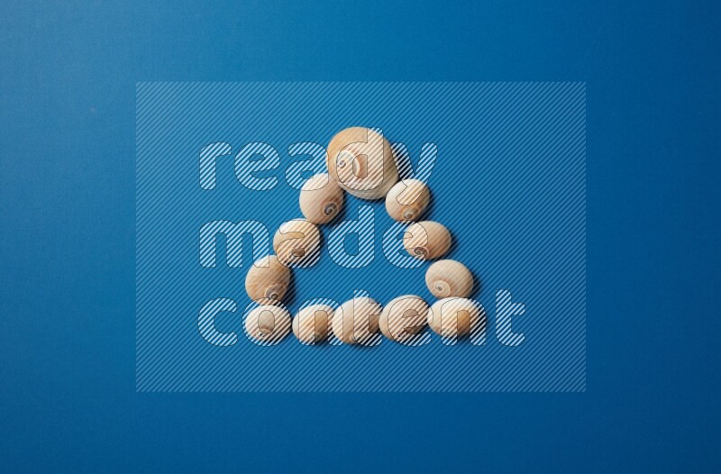 top view shot of seashells arrangement on blue background
