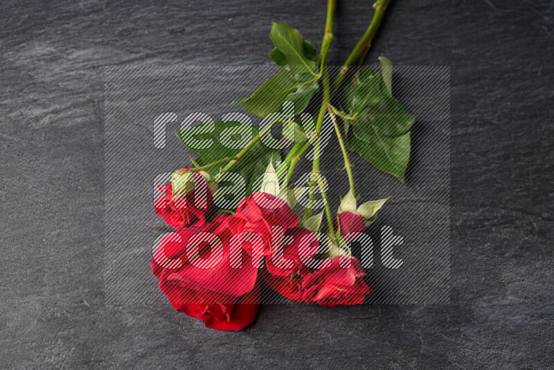 Red roses in different sizes on black marble background