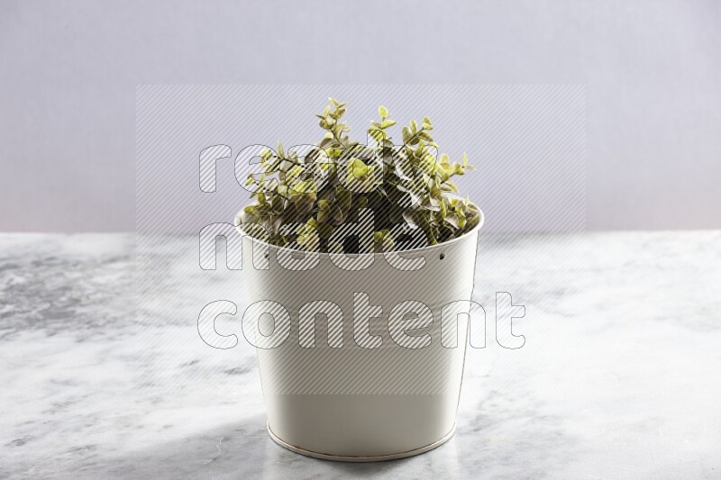 Green artificial plant in white pot on light grey marble background