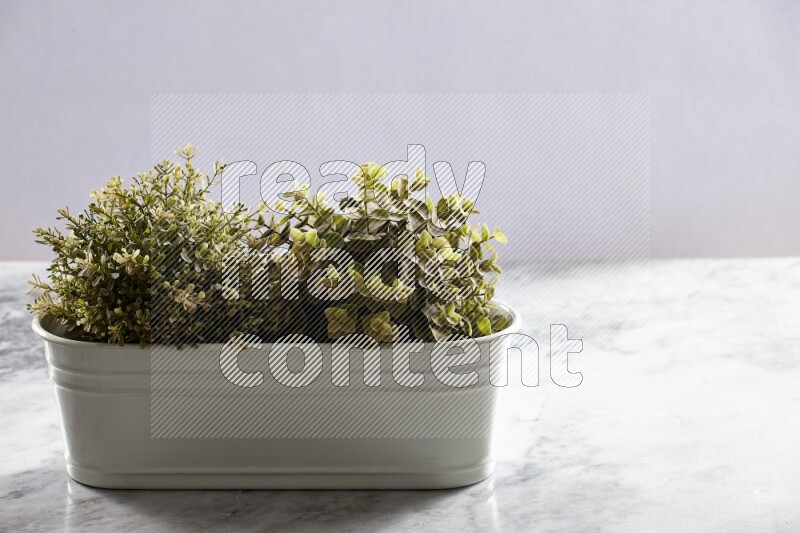Multiple green artificial plants in white pot on grey marble background