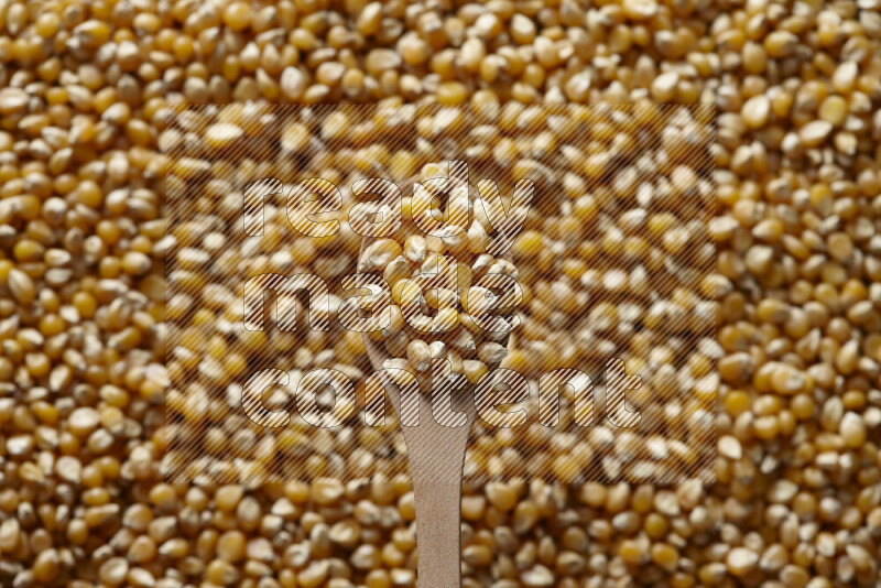 A wooden spoon full of dry corn kernels on dry corn kernels background