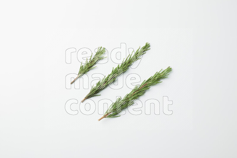 Three fresh rosemary sprigs on white background