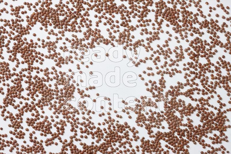 Brown lentils on white background