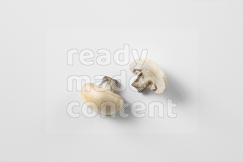 Mushrooms on white background