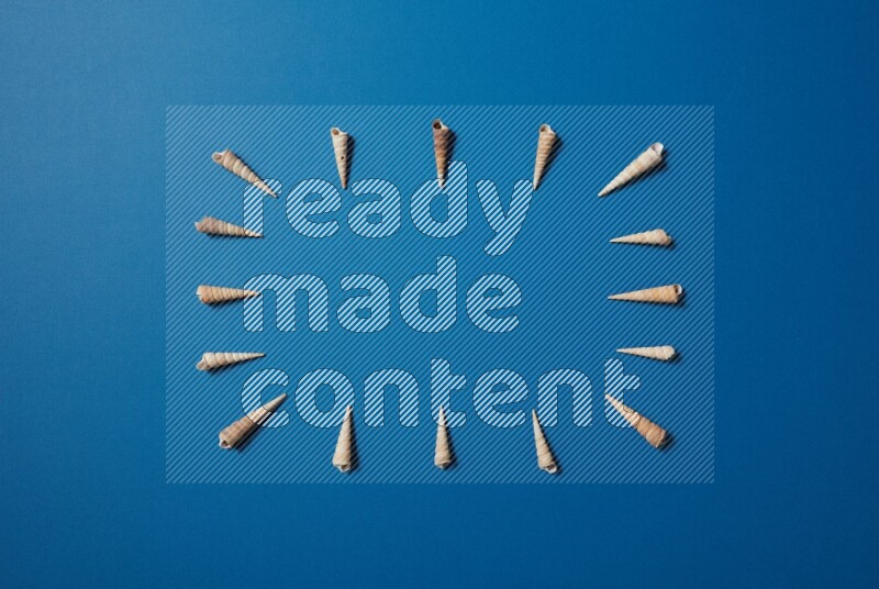 top view shot of seashells arrangement on blue background