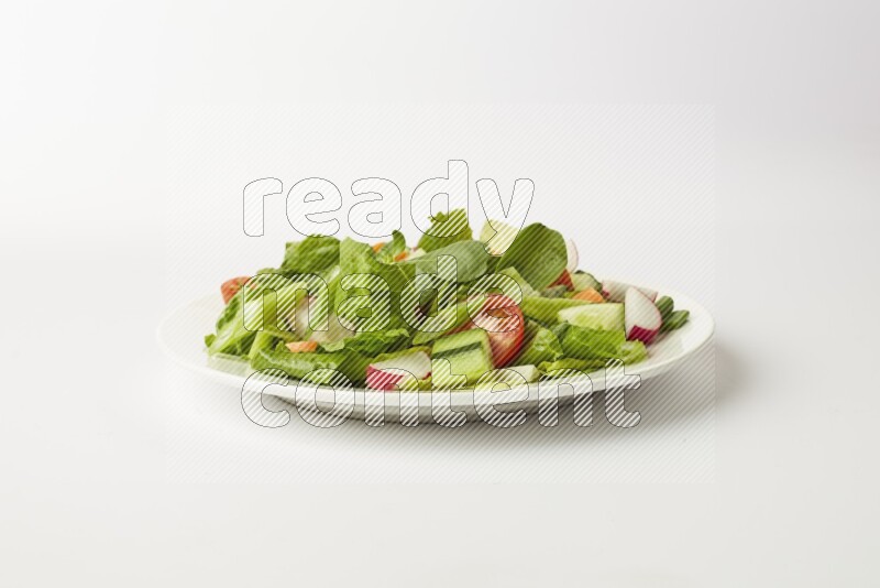 fattoush salad in a white plate direct on a white background