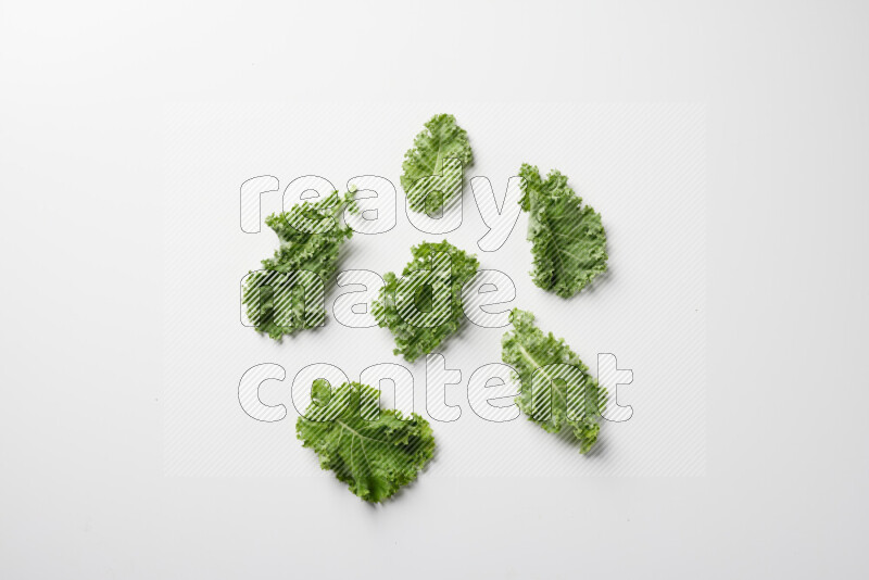 An array of kale leaves spread out on a white background