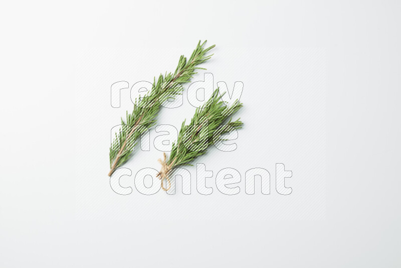Multi fresh rosemary sprigs on white background