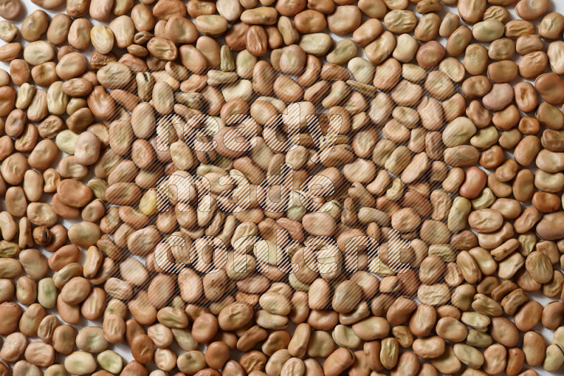 Fava beans on white background