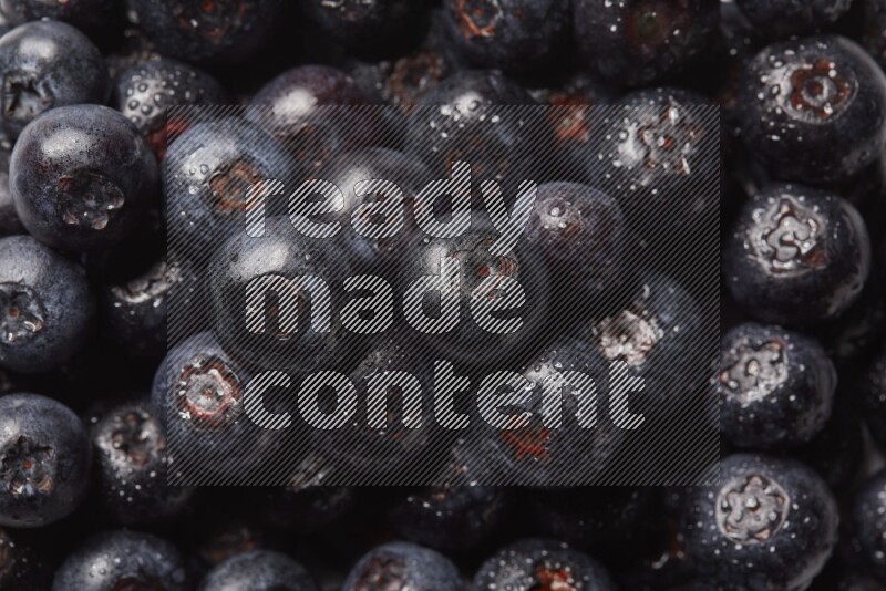 top view shot of blueberries