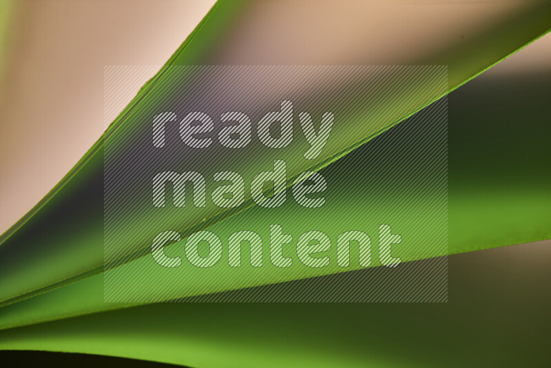 فن تجريدي يعرض منحنيات مع تدرجات الألوان الدافئة والباردة مكونه بضوء ملون