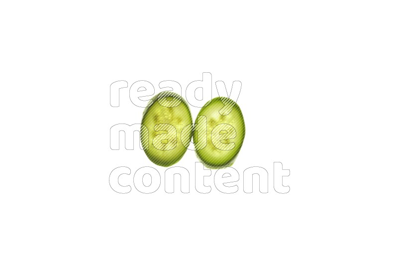 Zucchini slices on illuminated white background