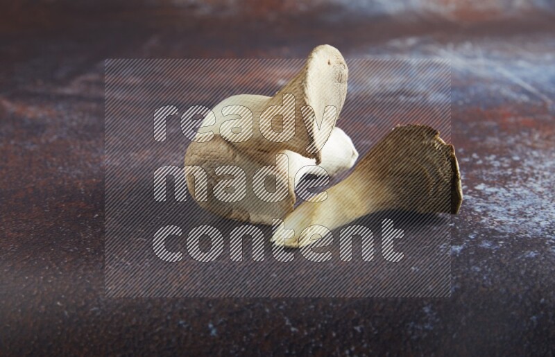 45 degre king oysters mushrooms on a textured reddish rustic metal background
