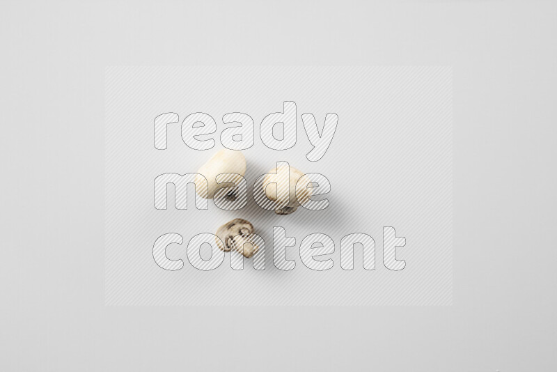 Mushrooms on white background