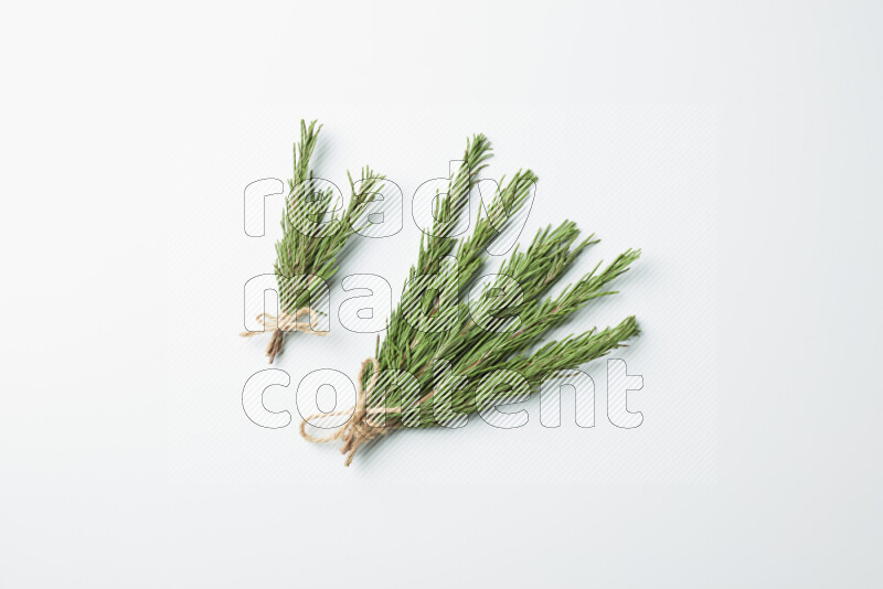 Multi fresh rosemary sprigs on white background