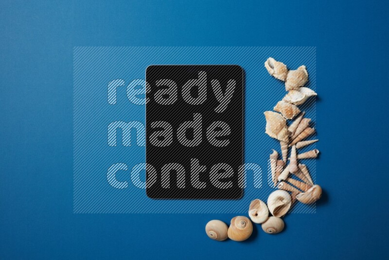top view shot of a tablet, and seashells on blue background