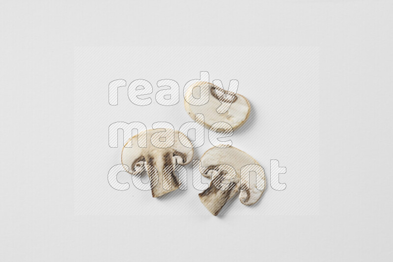 Mushrooms on white background