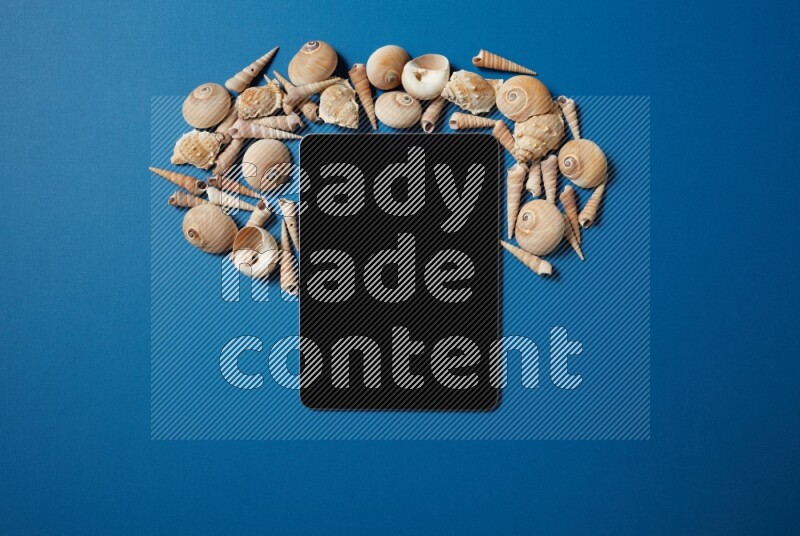 top view shot of a tablet, and seashells on blue background