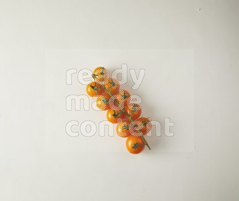 Single cherry tomato vein topview on a white background