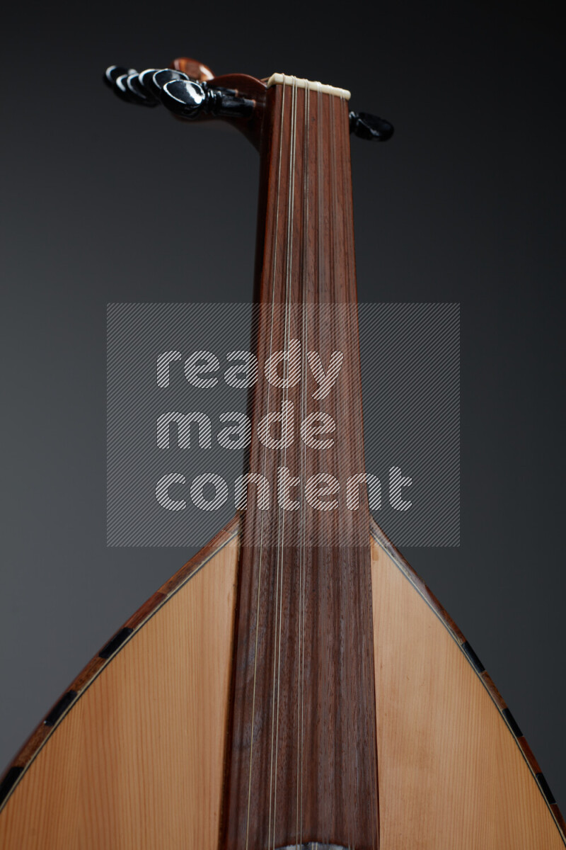 parts of a brown wooden Oud in a gray background