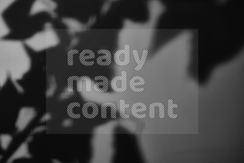 يظهر ضوء غوبو خافت ظلال أوراق نبات تسقط على سطح ناعم