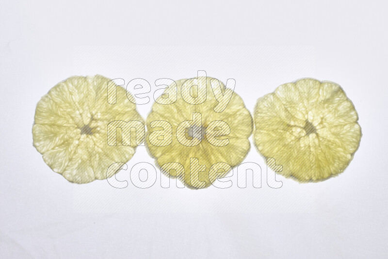 Orange slices on illuminated white background