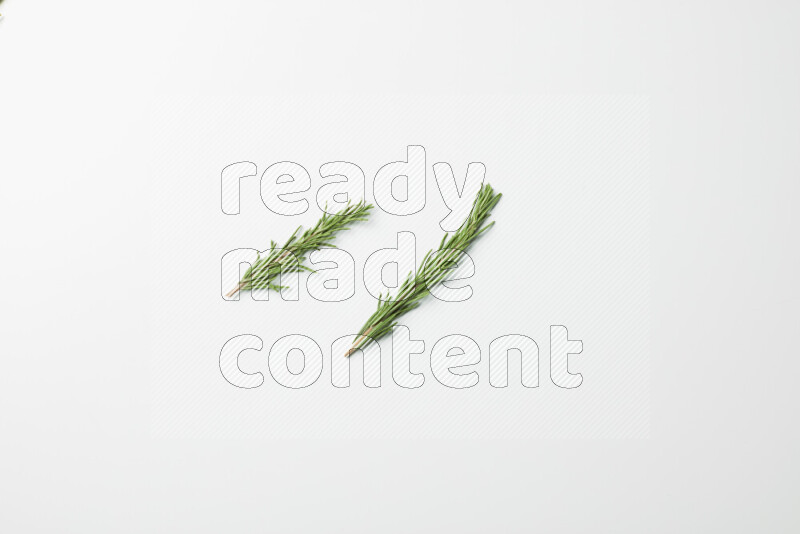 Two fresh rosemary sprigs on white background