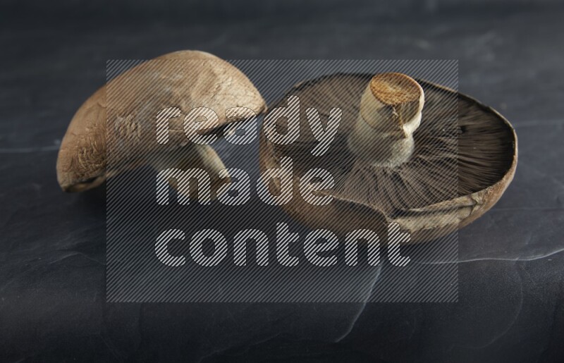 45 degre portobello mushrooms on a textured black slate background