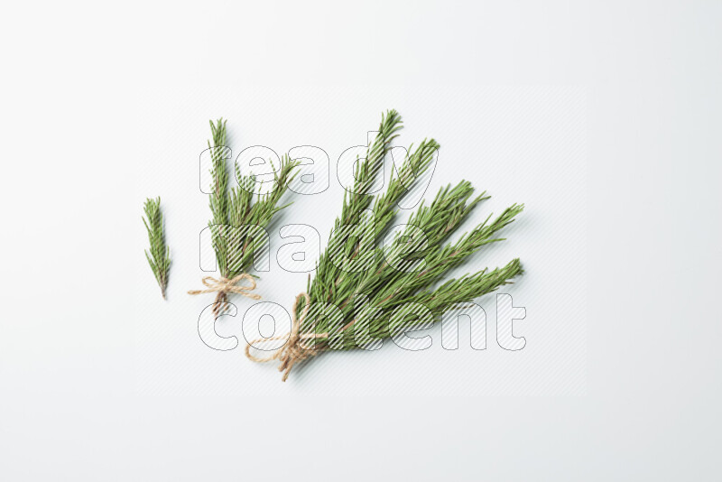 Multi fresh rosemary sprigs on white background