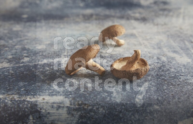 45 degre shiitake mushrooms on a textured rustic blue background