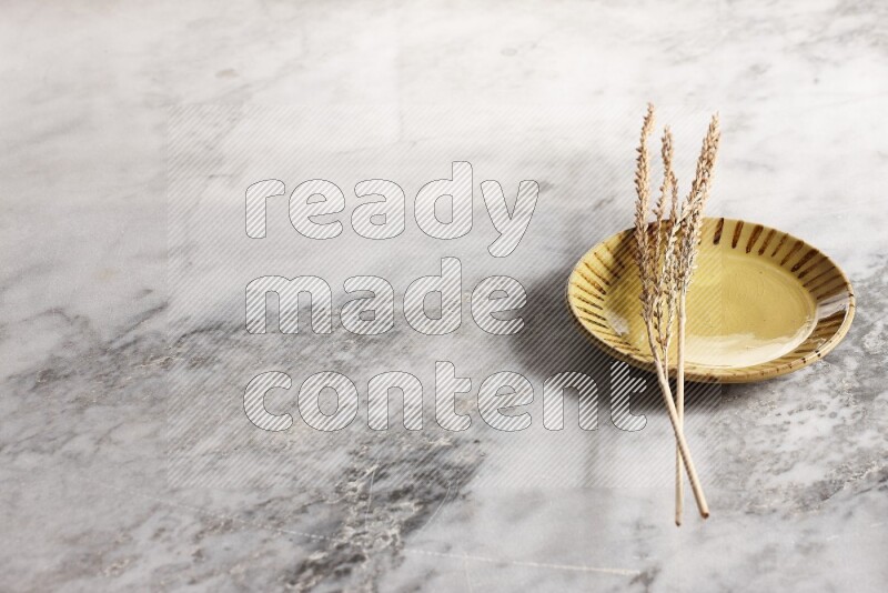 Wheat stalks on multicolored pottery plate on grey marble background