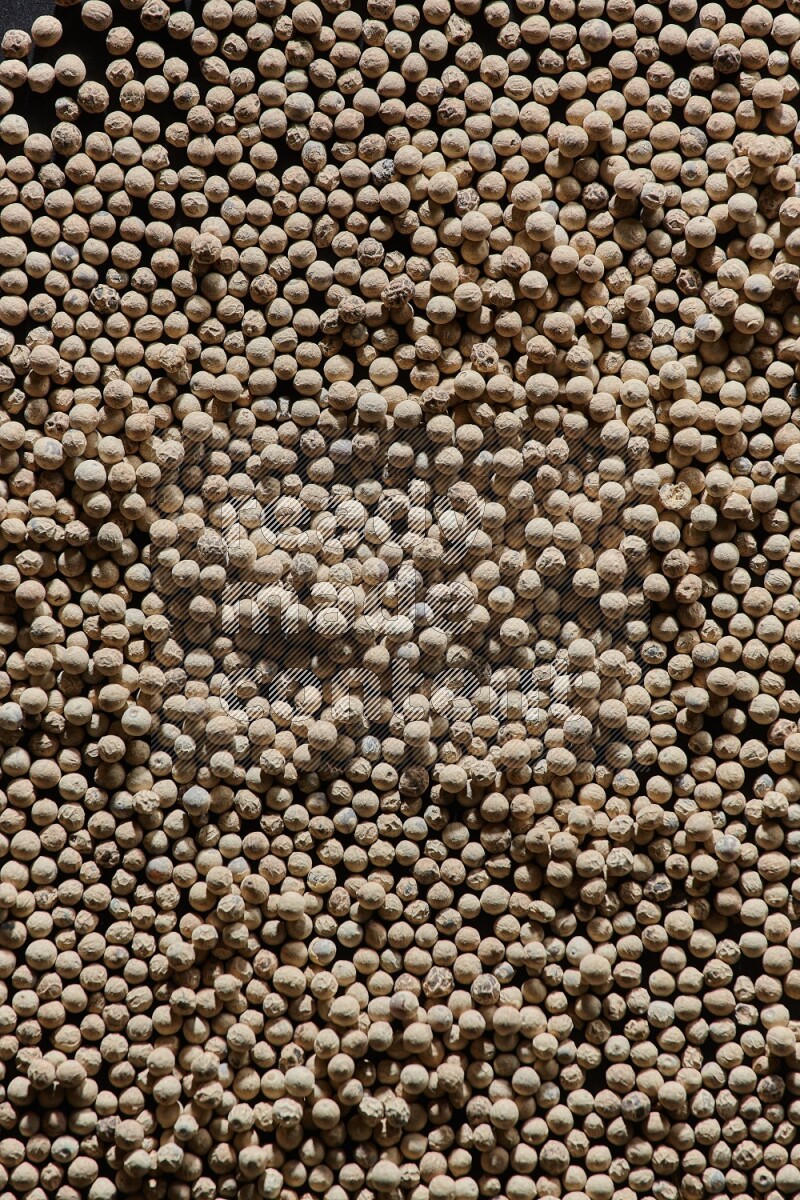 حبات الفلفل الأبيض علي أرضية سوداء