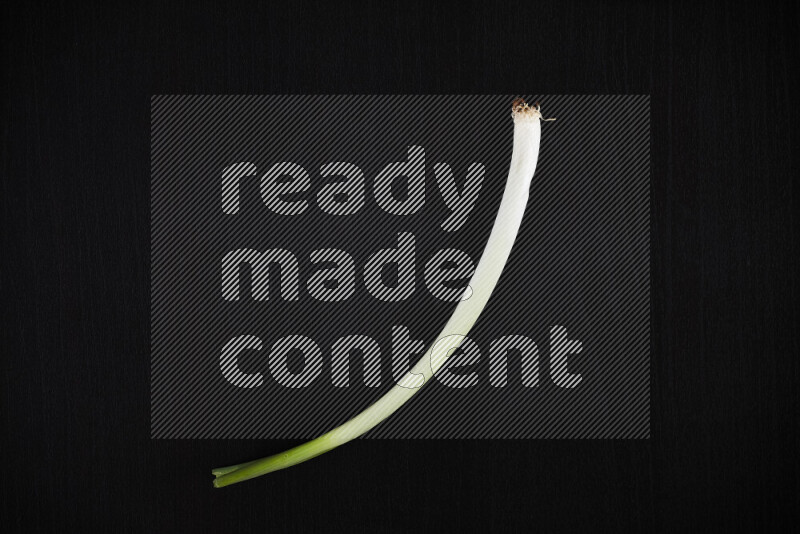 مراحل نمو البصل الأخضر على خلفية سوداء