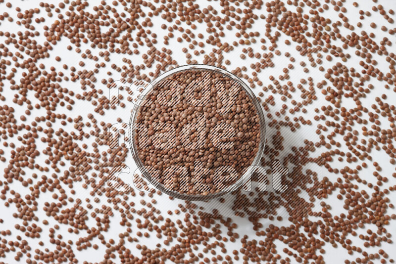 Brown lentils on white background