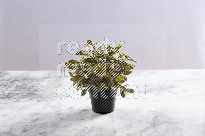 Green artificial plant in black pot on grey marble background