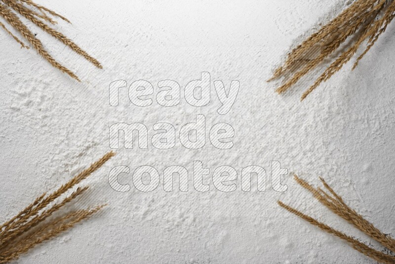 Wheat stalks on flour