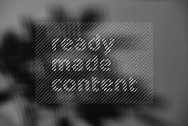 يظهر ضوء غوبو خافت ظلال أوراق نبات تسقط على سطح ناعم