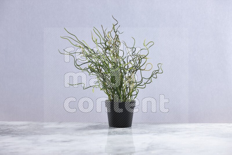 Green artificial plant in black pot on grey marble background