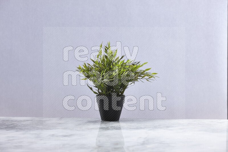 Green artificial plant in black pot on grey marble background