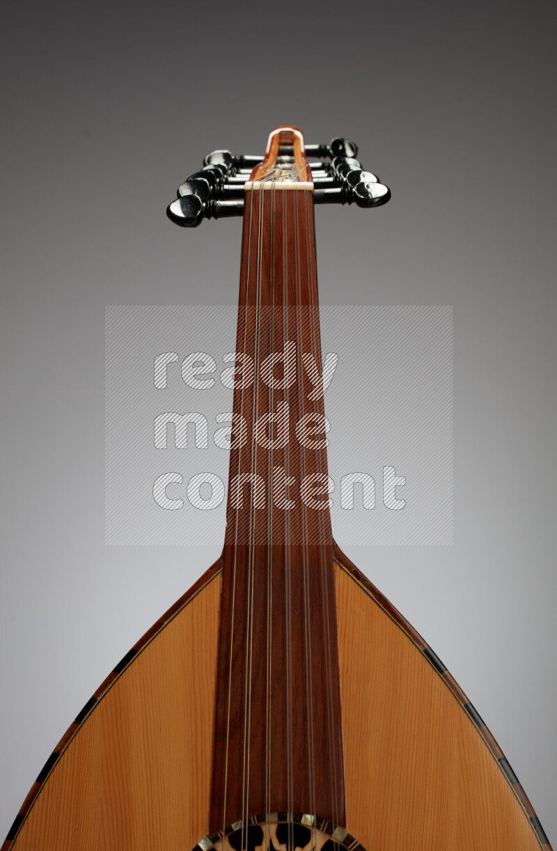 parts of a brown wooden Oud in a gray background