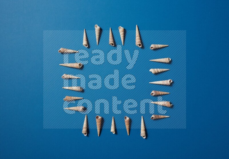 top view shot of seashells arrangement on blue background