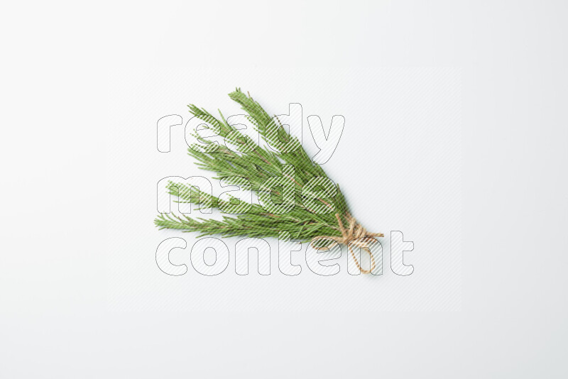 Multi fresh rosemary sprigs on white background