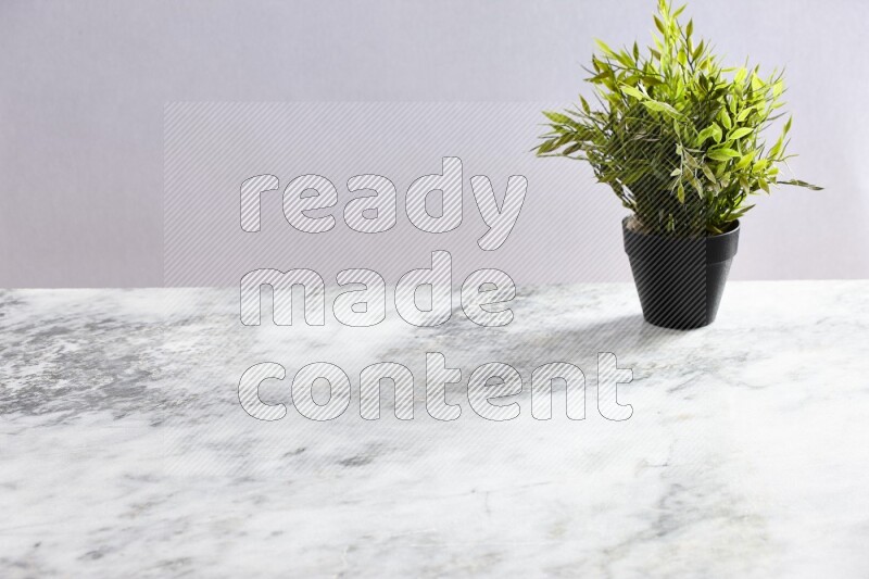 Green artificial plant in black pot on grey marble background