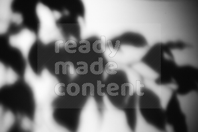 يظهر ضوء غوبو خافت ظلال أوراق نبات تسقط على سطح ناعم