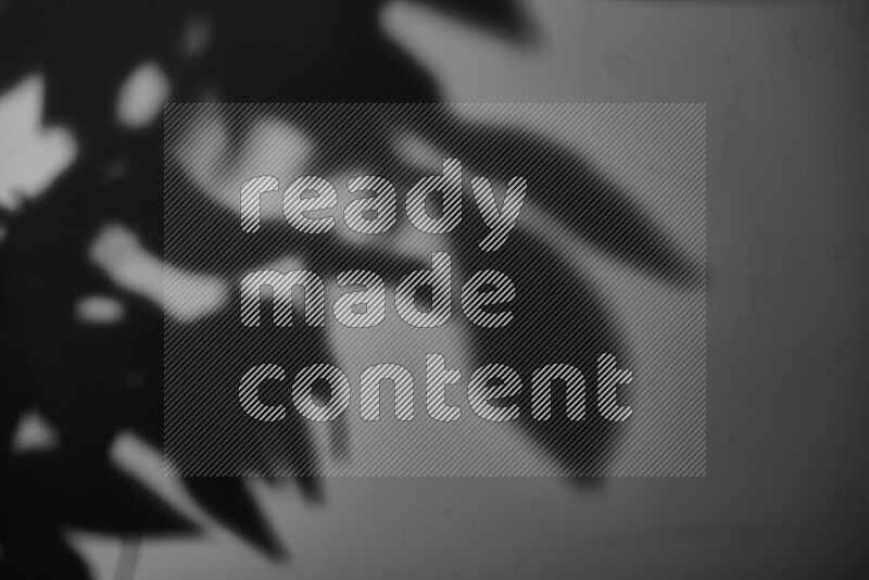 يظهر ضوء غوبو خافت ظلال أوراق نبات تسقط على سطح ناعم