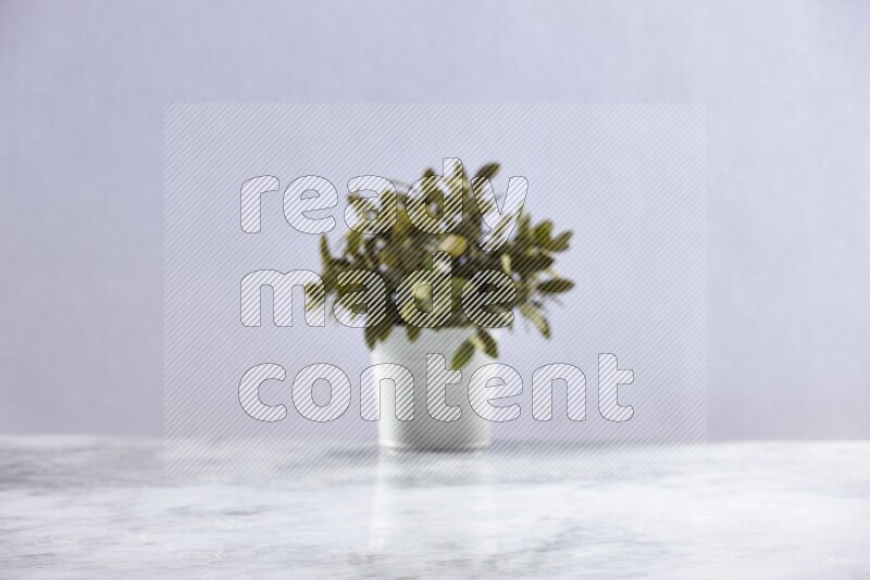 Artificial plant in white pot on grey marble background