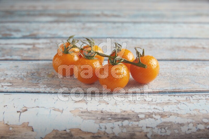 orange cherry tomato vein on a textured blue wooden background 45 degree