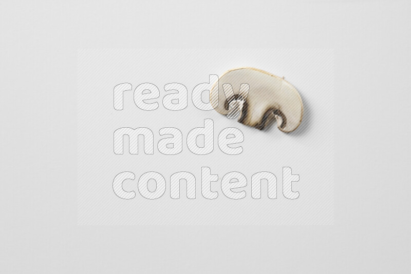 مشروم علي خلفية بيضاء