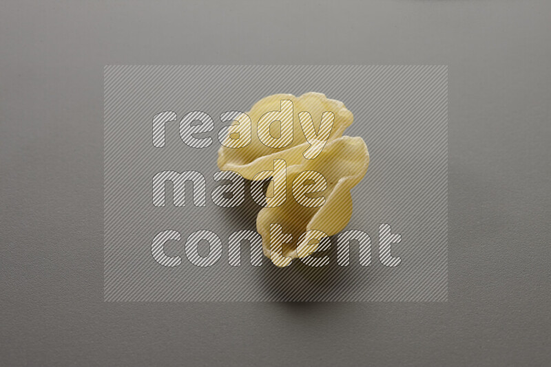 معكرونة قواقع علي خلفية رمادية