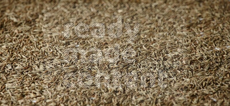 Cumin seeds on white flooring